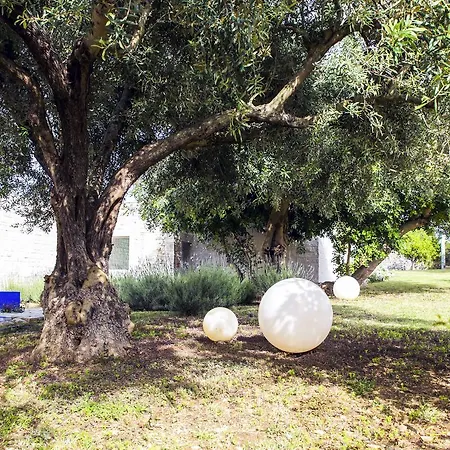 Balarte 4* Μόντικα